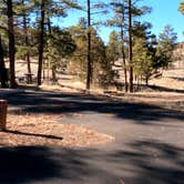 Review photo of Juniper Family Campground — Bandelier National Monument by Robin T., February 19, 2021