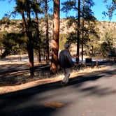 Review photo of Juniper Family Campground — Bandelier National Monument by Robin T., February 19, 2021