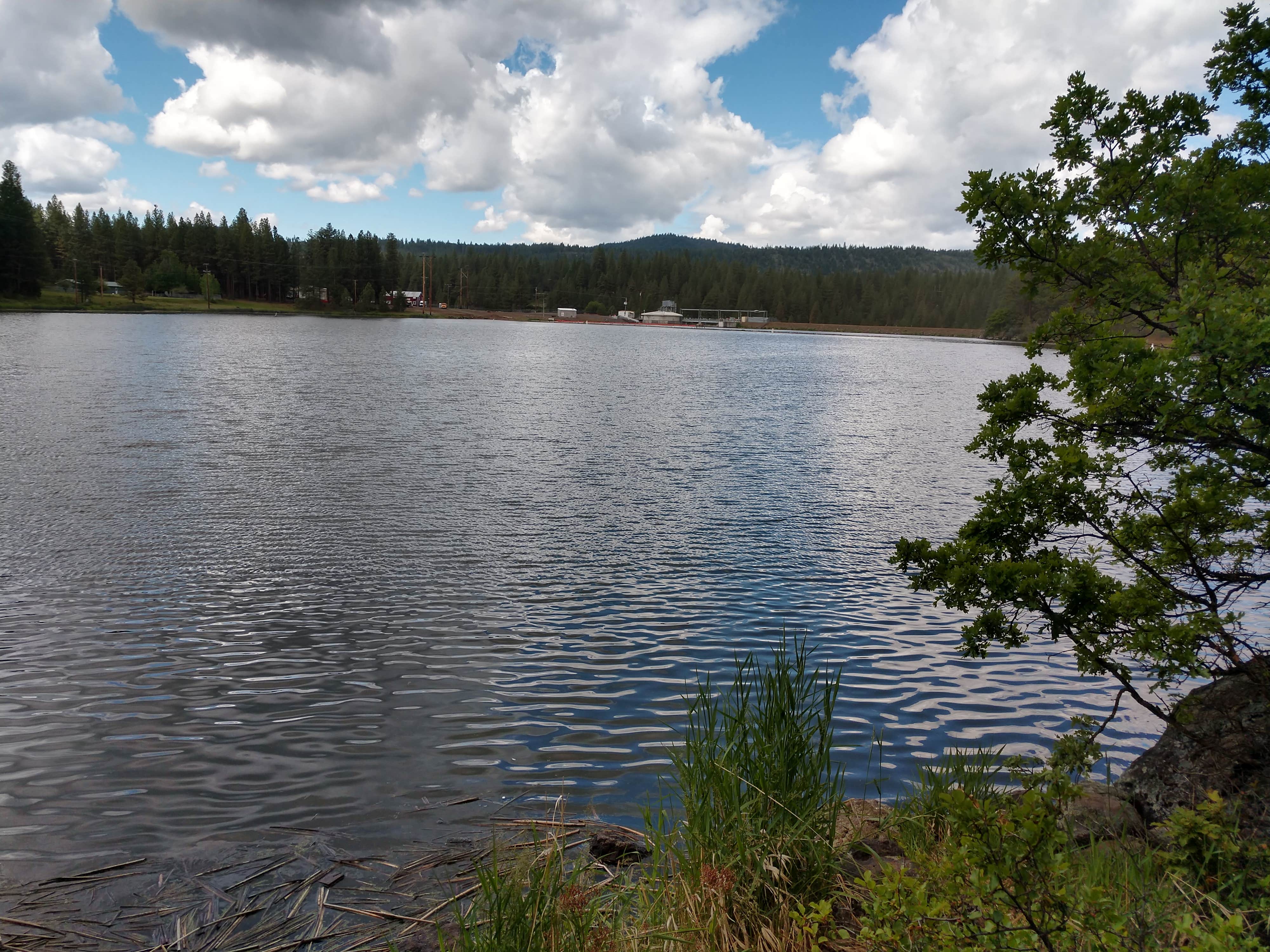 Camper-submitted photo at Topsy Campground near Dorris, CA