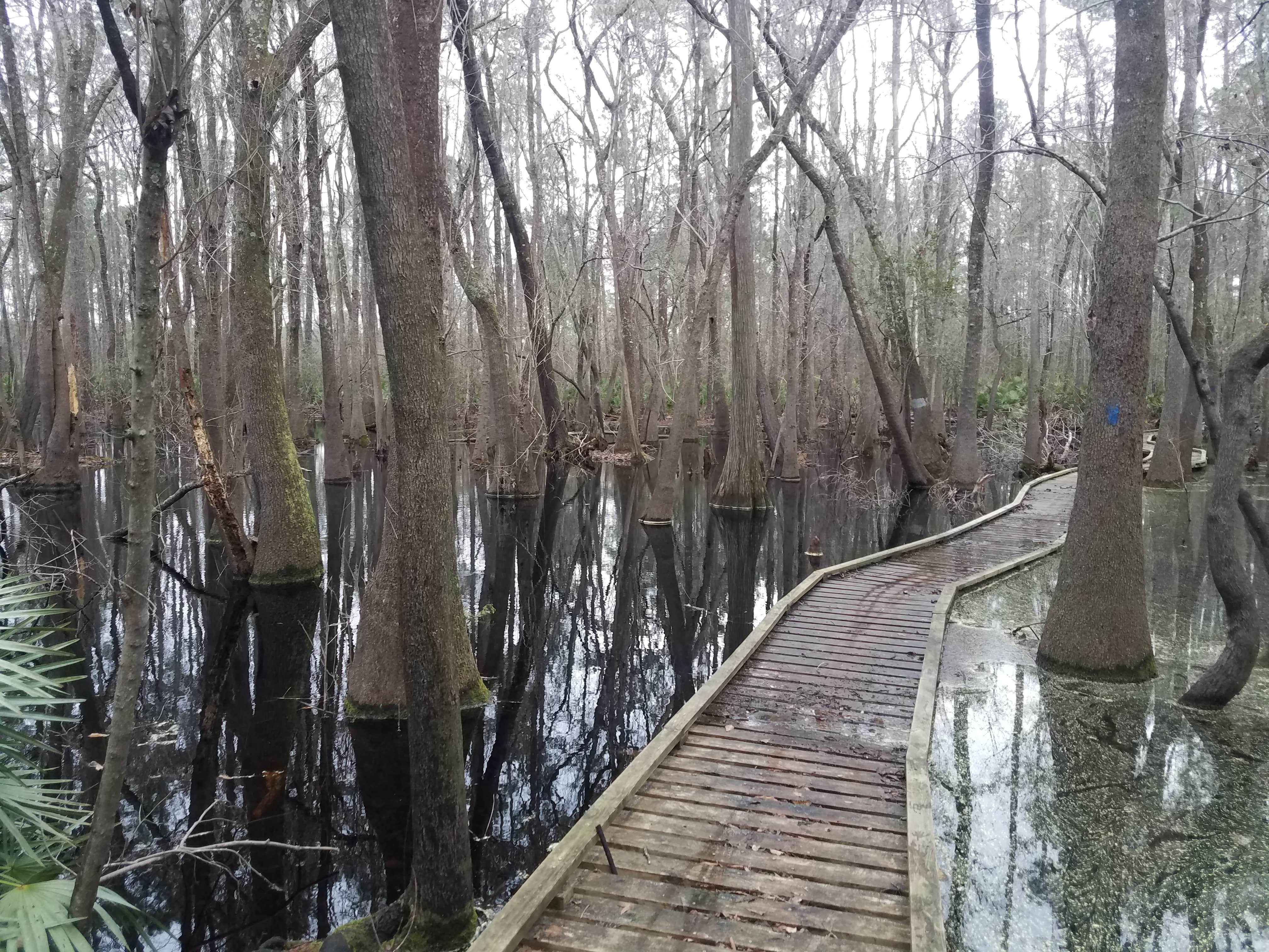 Camping near Lake City Campground: Kelly's RV Park, White Springs, Florida