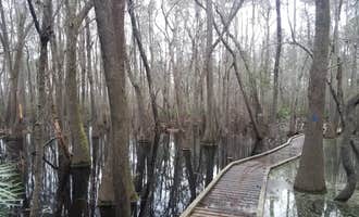Camping near Spirit of the Suwannee Music Park & Campground: Kelly's RV Park, White Springs, Florida