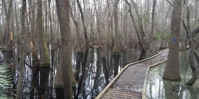 Camper submitted image from Kelly's RV Park