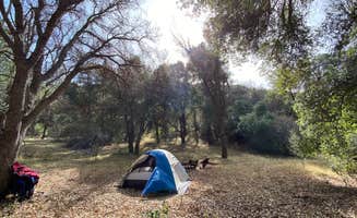 Alejandro L.'s photo at Los Padres National Forest Figueroa Campground in California