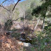 Review photo of Mt. Figueroa Campground by Alejandro L., February 19, 2021