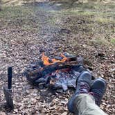 Review photo of Mt. Figueroa Campground by Alejandro L., February 19, 2021