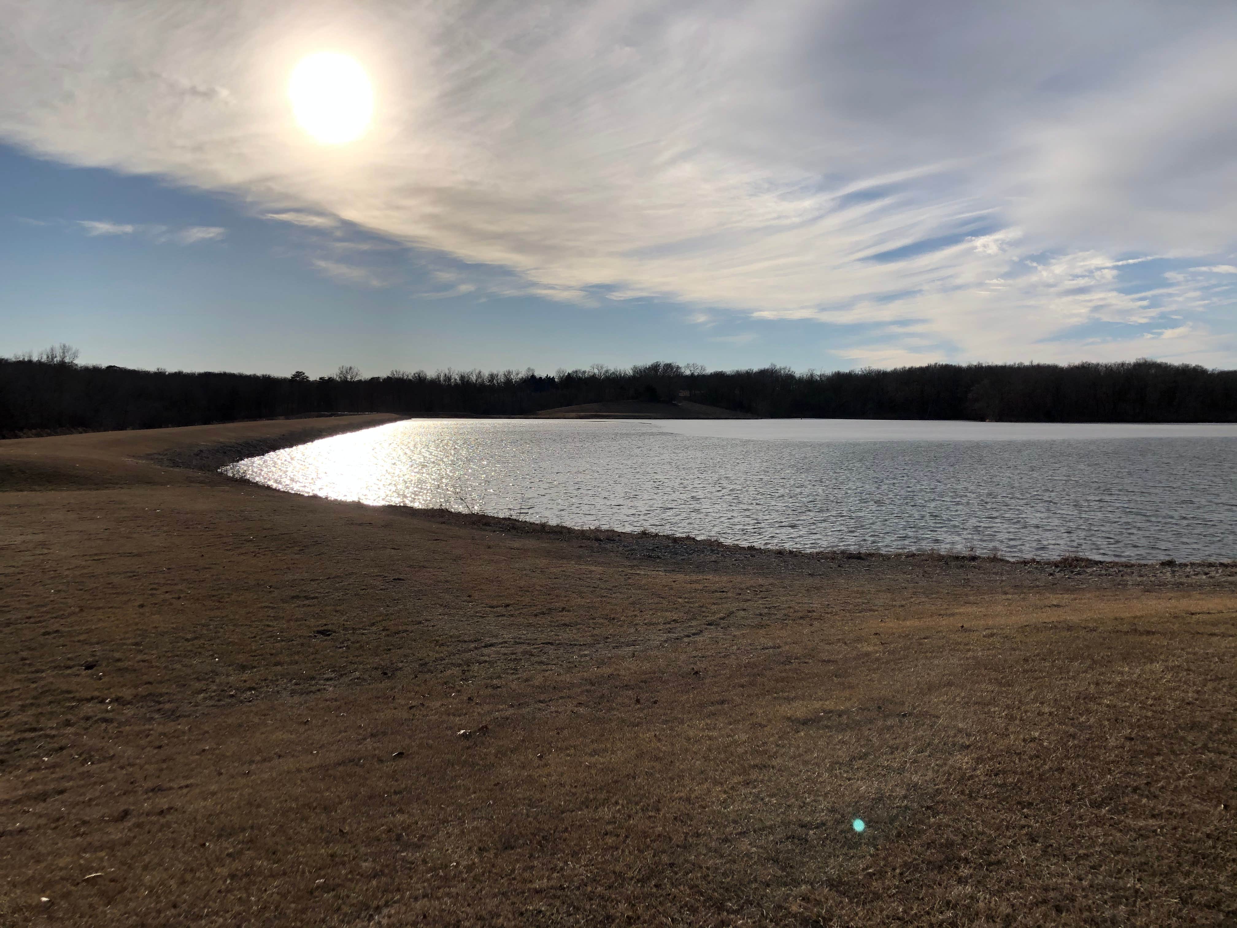 Camper submitted image from Henry Sever Lake Conservation Area - 4