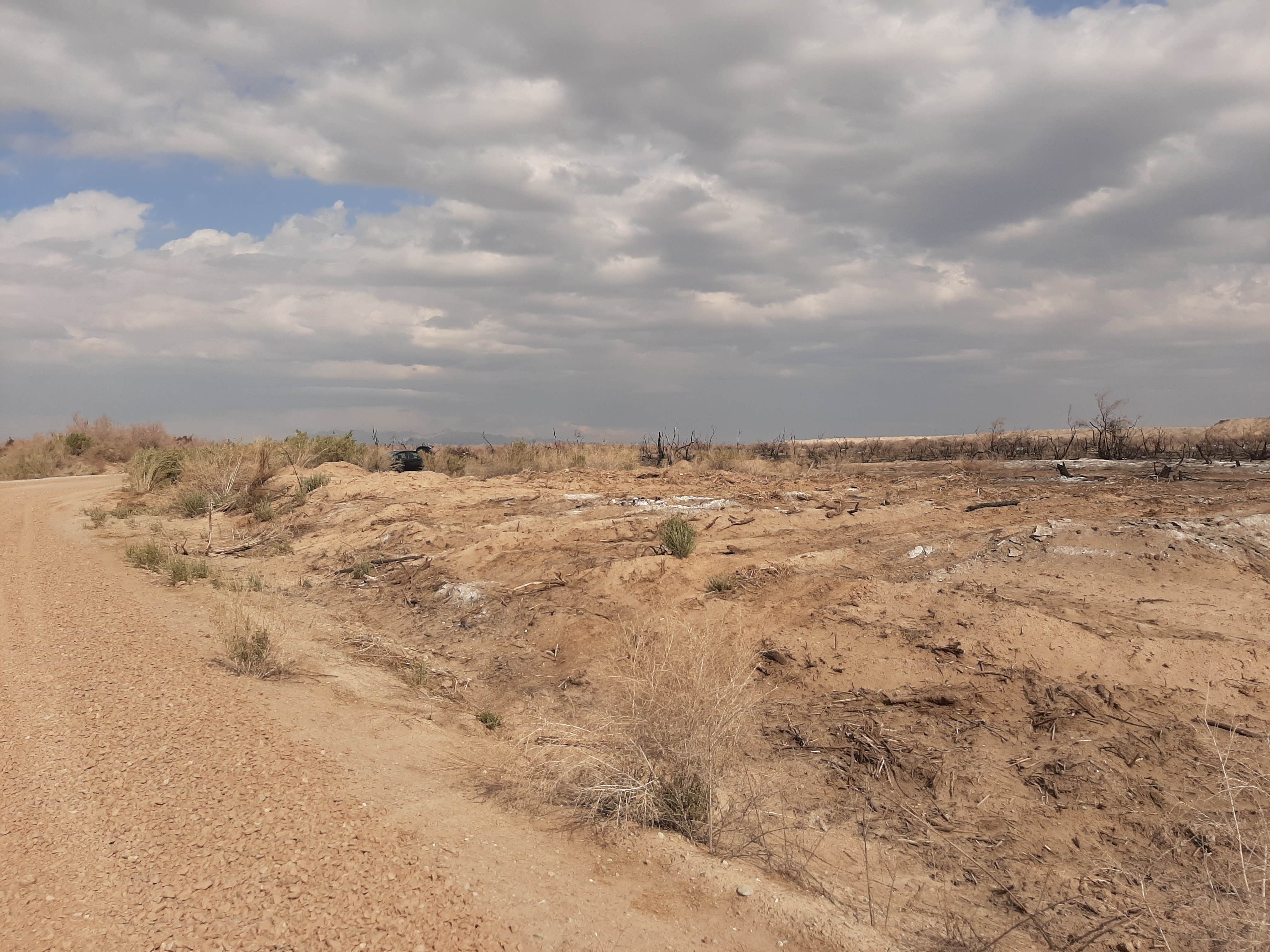 Camper-submitted photo at BLM Oxbow Campground near Cibola, AZ