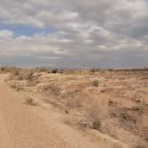 Review photo of BLM Oxbow Campground by Larry B., February 19, 2021