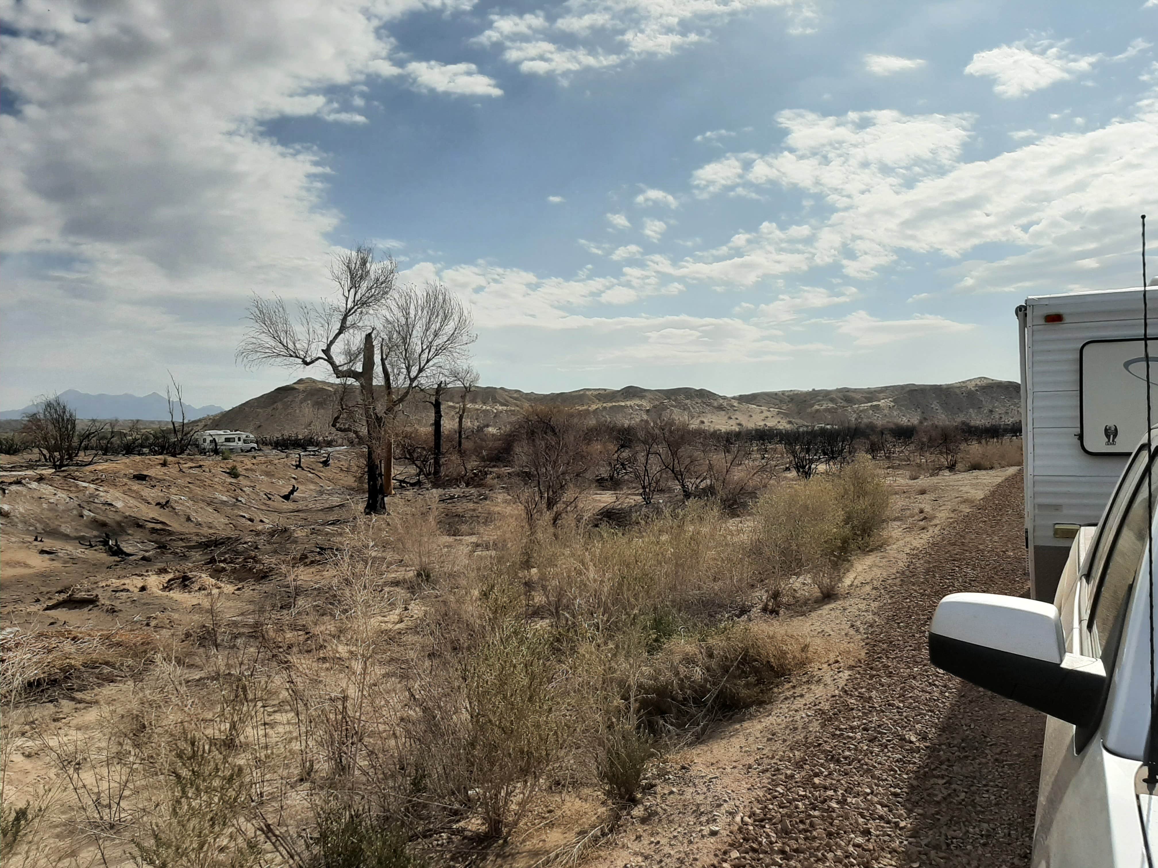 Camper submitted image from BLM Oxbow Campground - 1