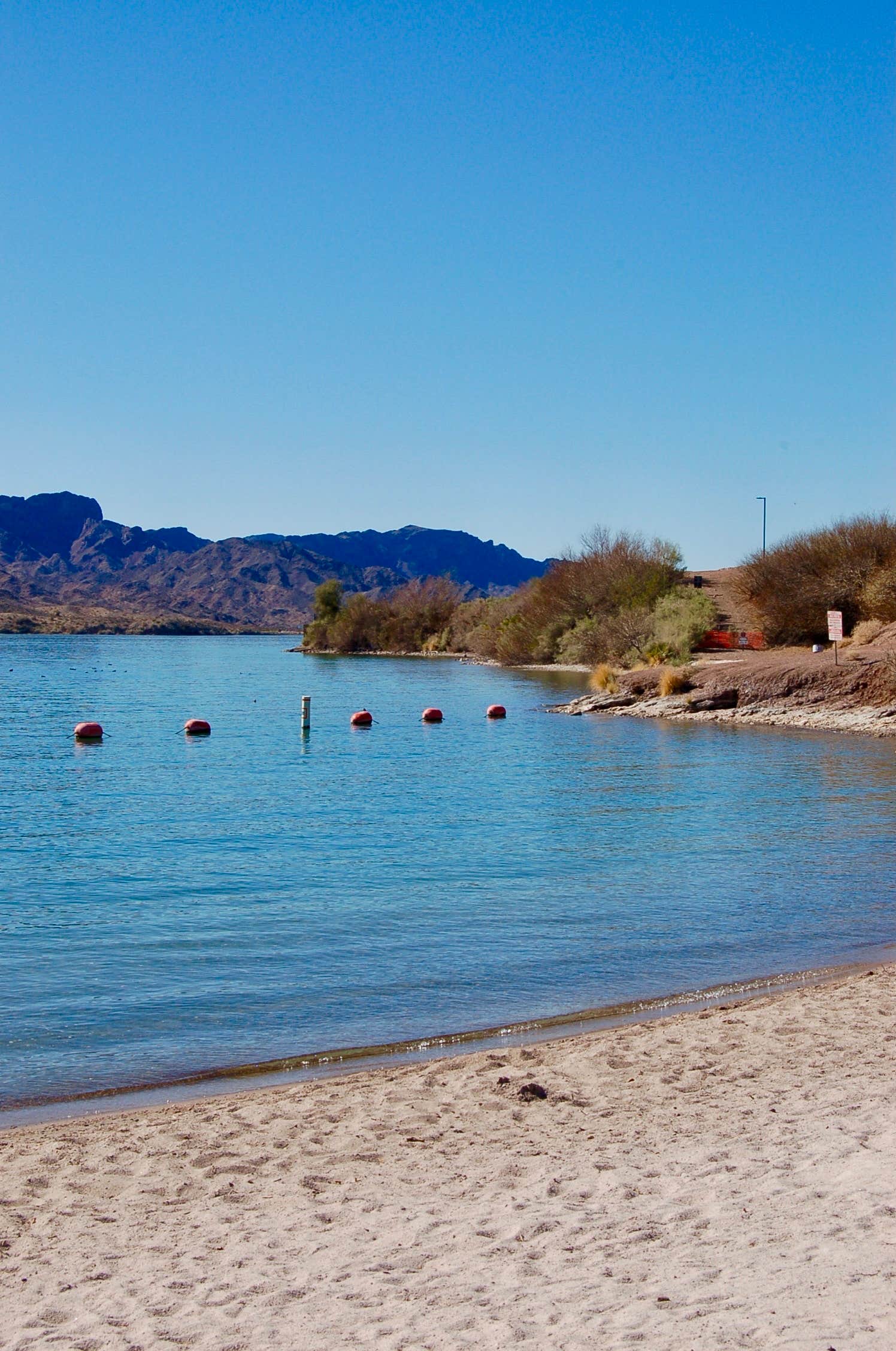 Cattail Cove: Arizona's Hidden Gem on the Colorado River