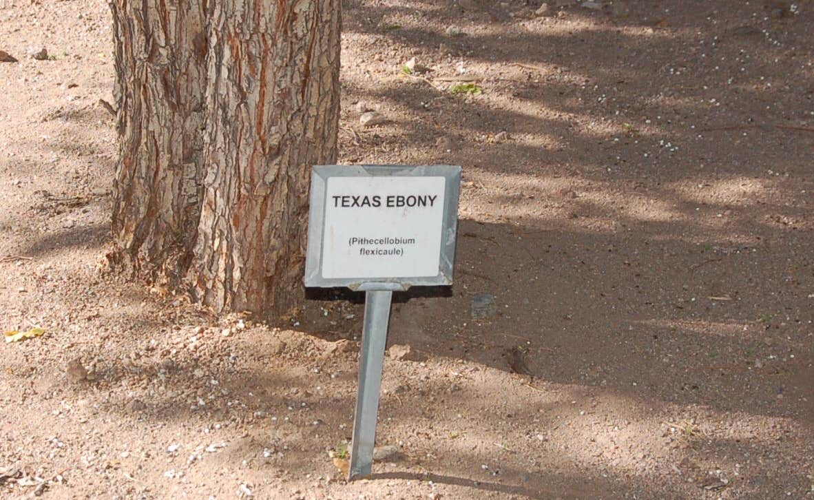 Camper-submitted photo at Cattail Cove State Park Campground near Parker Dam, CA