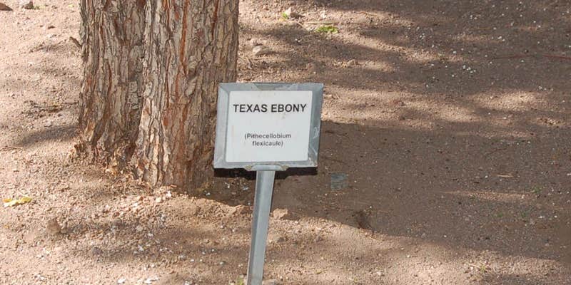 Camper submitted image from Cattail Cove State Park Campground