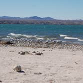 Review photo of Lake Havasu State Park Campground by Shawn A., February 19, 2021