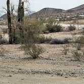 Review photo of Dome Rock Road BLM Dispersed Camping Area by Larry B., February 19, 2021