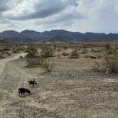 Review photo of Dome Rock Road BLM Dispersed Camping Area by Larry B., February 19, 2021