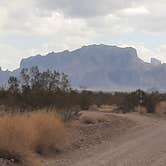 Review photo of Road Runner BLM Dispersed Camping Area by Larry B., February 20, 2021