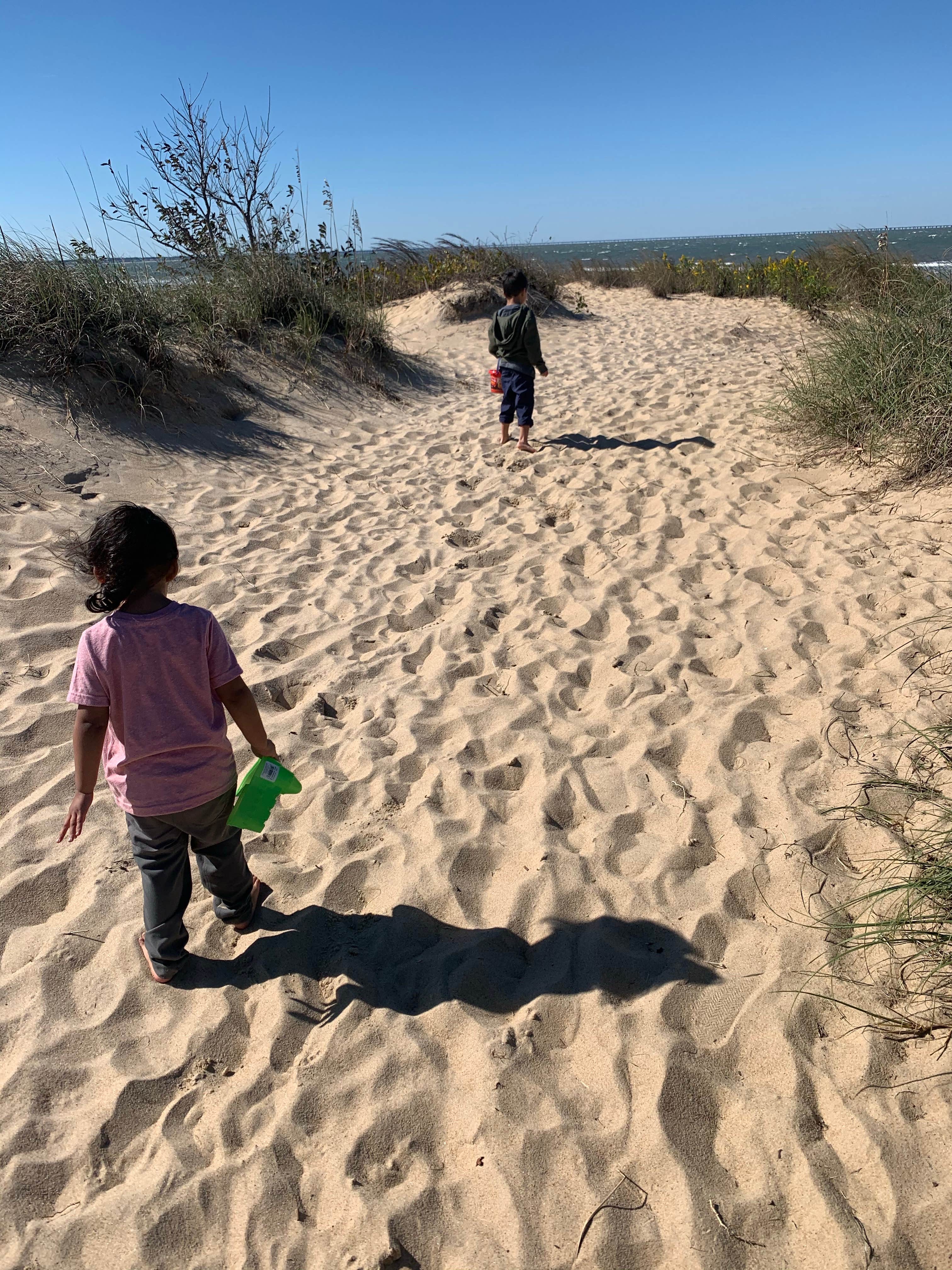 Camper-submitted photo at First Landing State Park Campground in Virginia