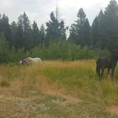 Review photo of West Bridger Cabin by Kathi F., February 20, 2021