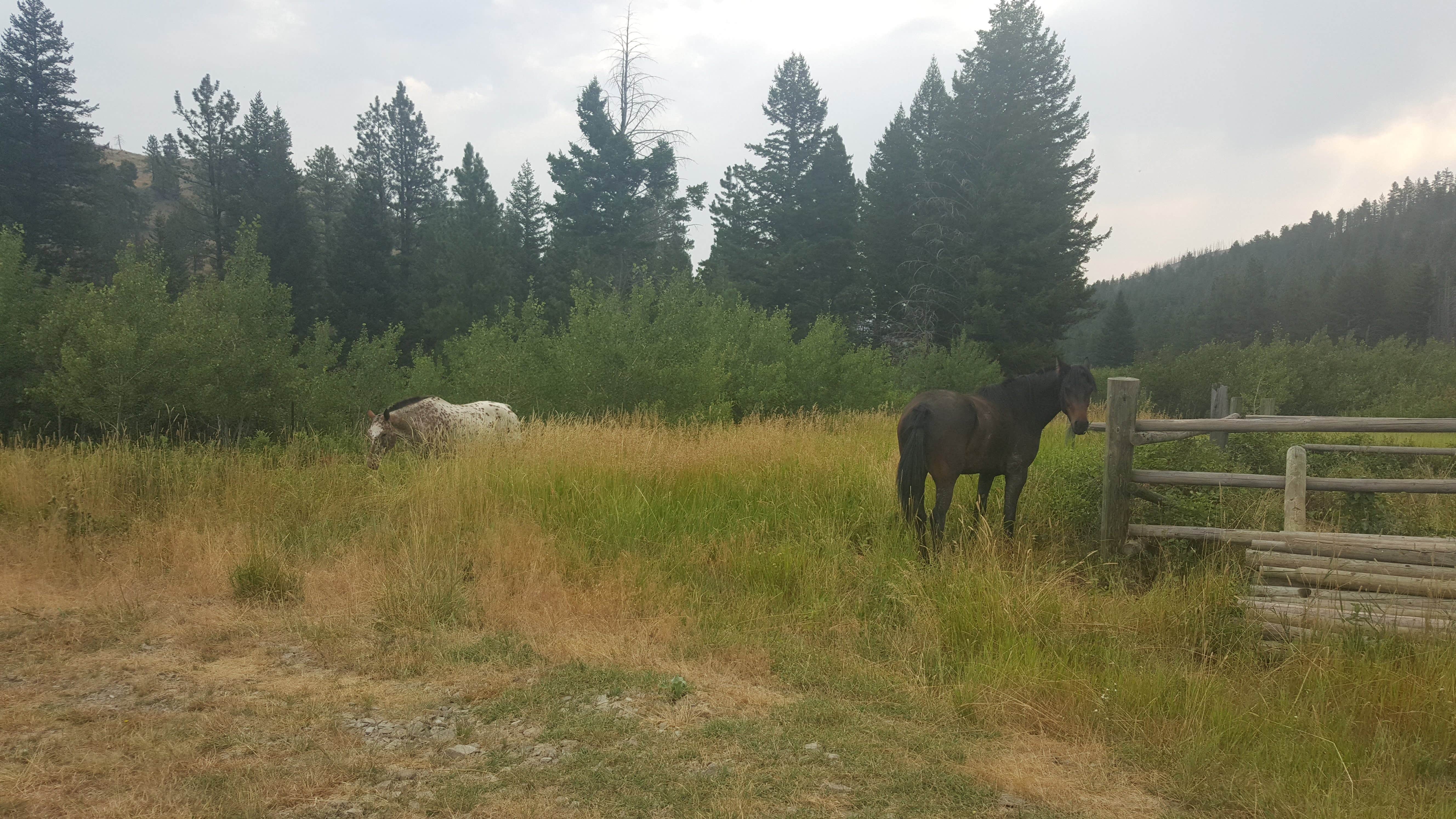 Camper submitted image from West Bridger Cabin - 4