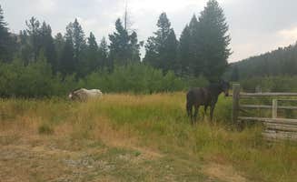 Kathi F.'s photo of camping with a horse at West Bridger Cabin near Silver Gate, MT