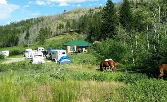 Kathi F.'s photo at West Bridger Cabin near Mcleod, MT