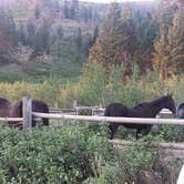 Review photo of West Bridger Cabin by Kathi F., February 20, 2021