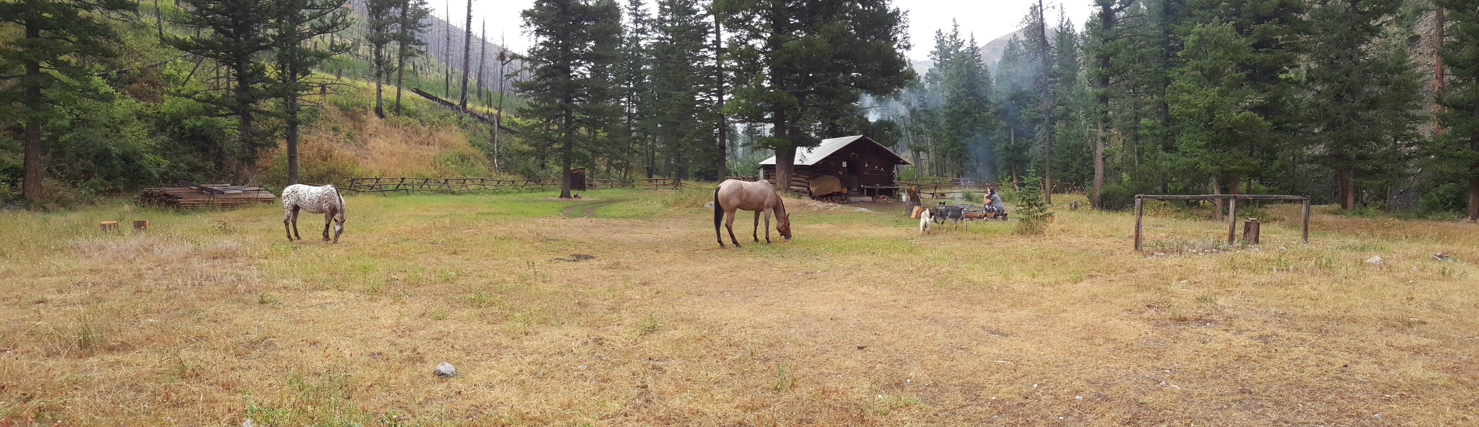 Camper-submitted photo at Deer Creek Cabin (MT) near Red Lodge, MT