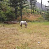 Review photo of Deer Creek Cabin (MT) by Kathi F., February 20, 2021