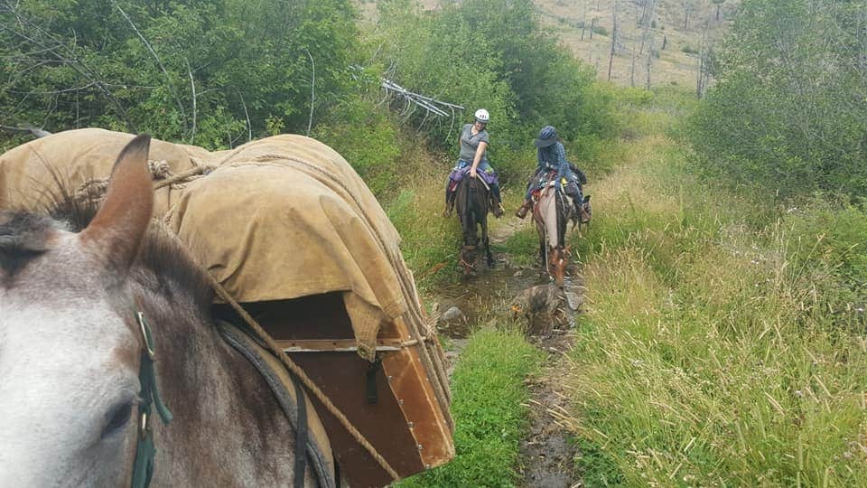 Camper-submitted photo at Deer Creek Cabin (MT) near Red Lodge, MT