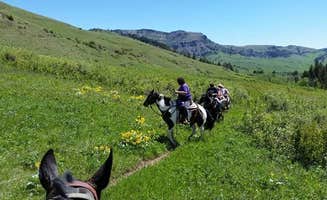Kathi F.'s photo of camping with a horse at Meyers Creek Cabin near Silver Gate, MT