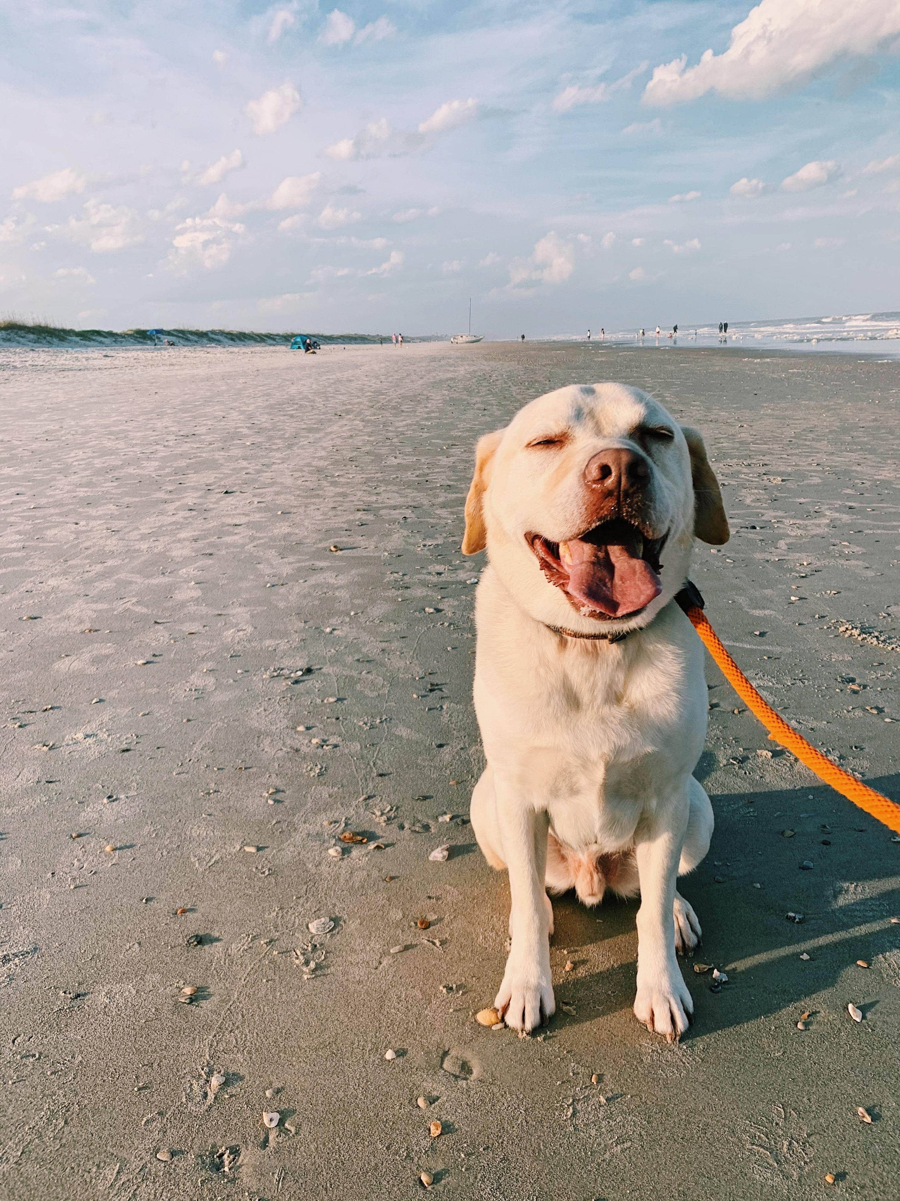 Camper-submitted photo at Kathryn Abbey Hanna Park in Florida