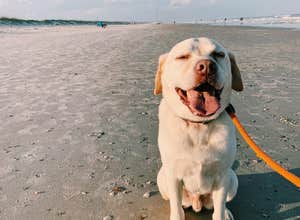 Kathryn Abbey Hanna Park