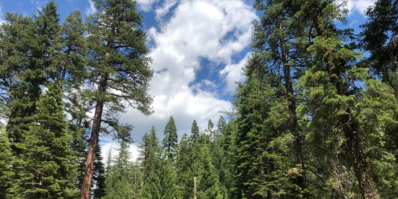 Camper submitted image from Elam Campground