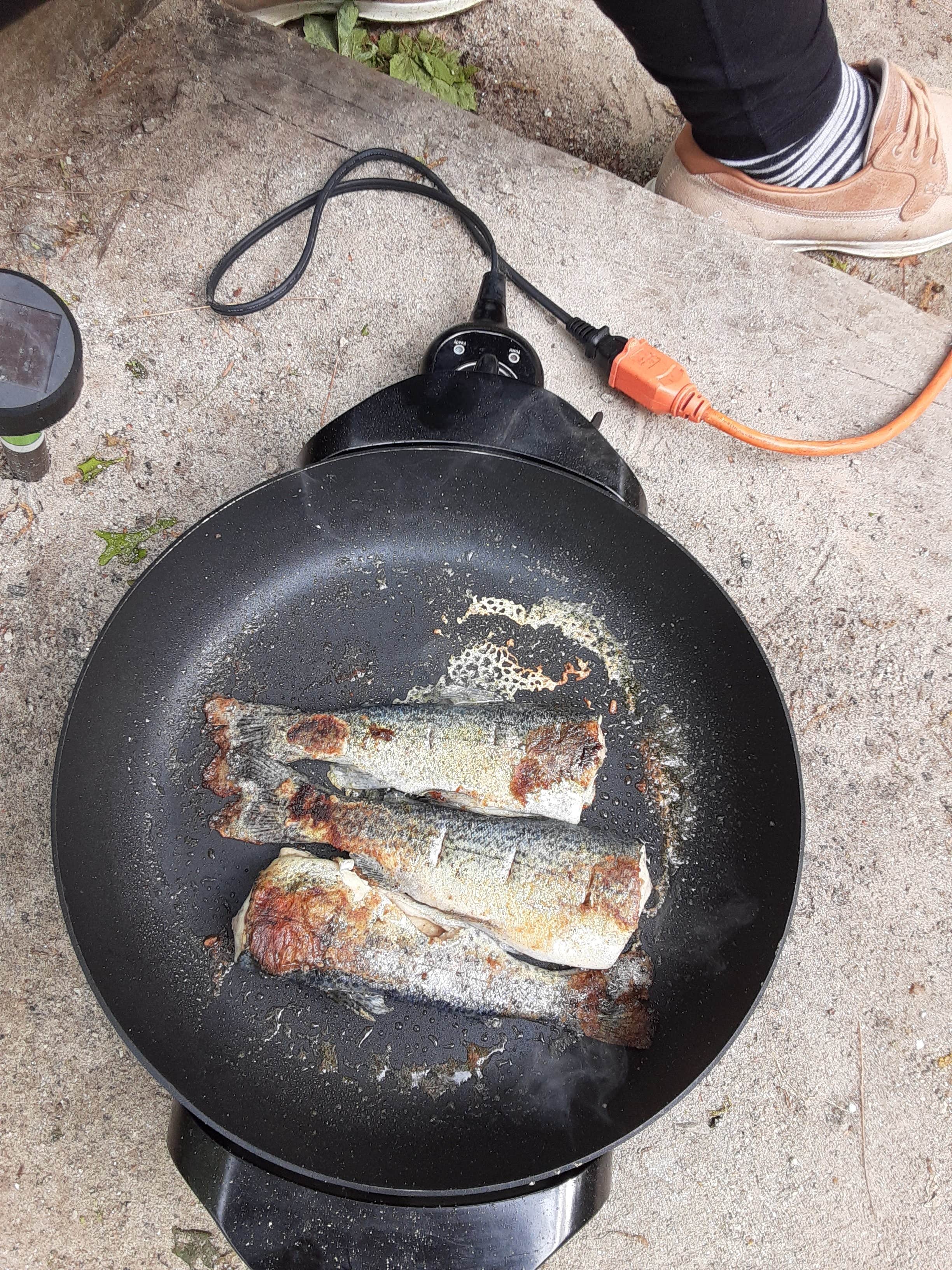 Amicalola Falls State Park Camping