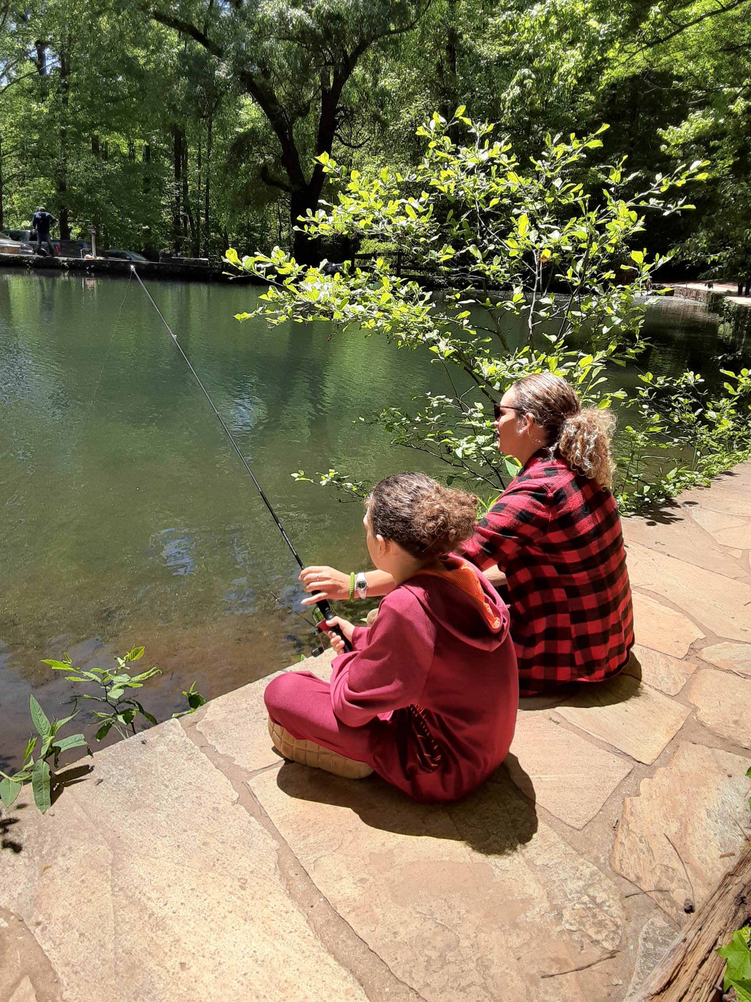 Camper-submitted photo at Amicalola Falls State Park Camping in Georgia