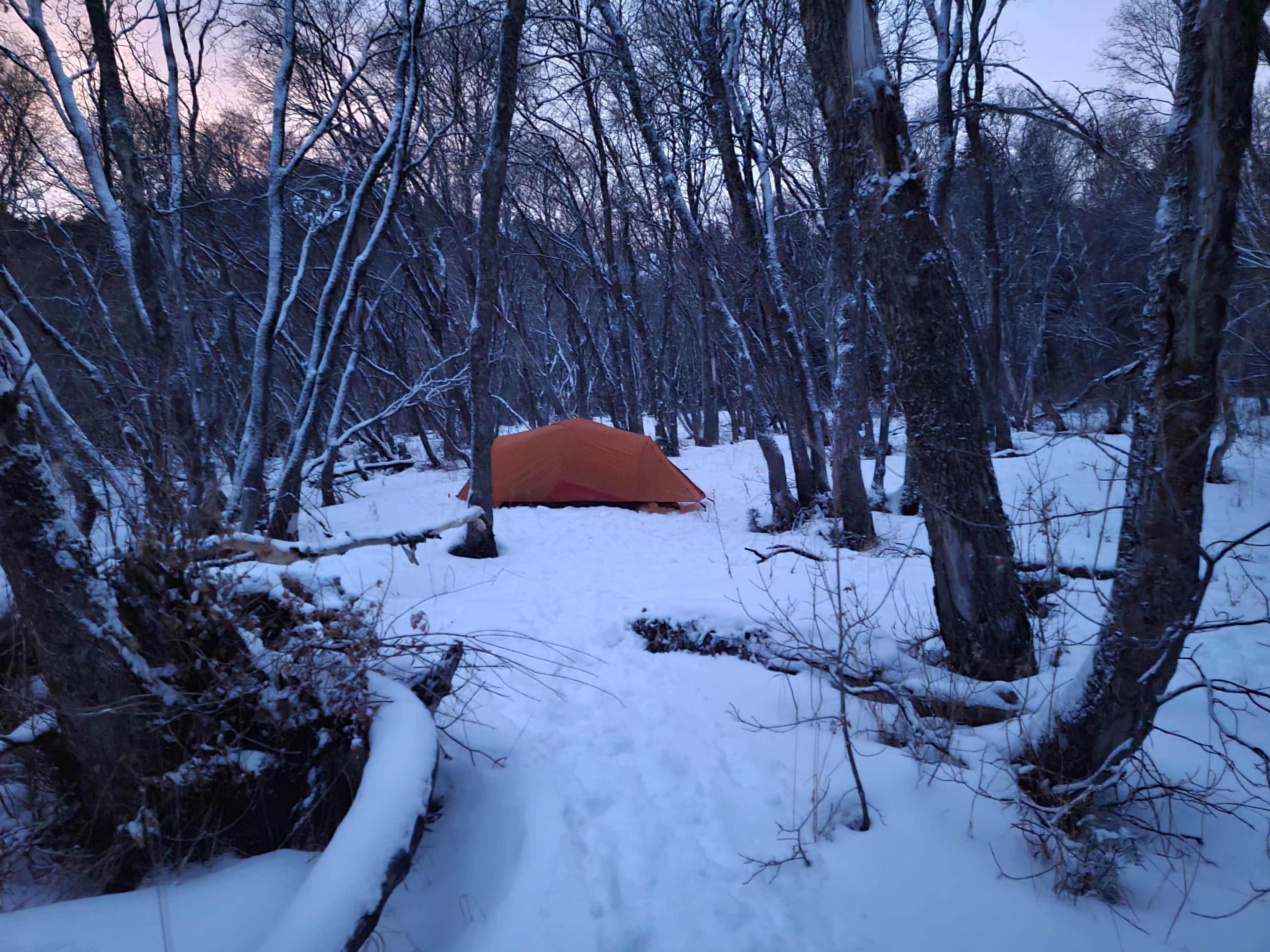 Camper submitted image from Maples Campground - Dispersed Camping Only - 1