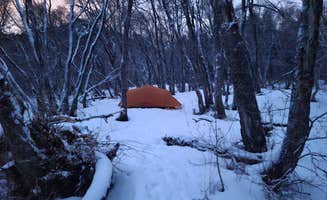 Klay L.'s photo at Maples Campground - Dispersed Camping Only near South Weber, UT