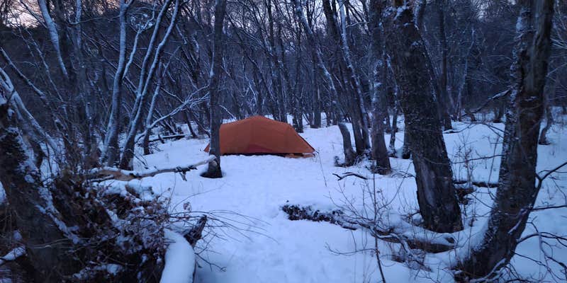 Camper submitted image from Maples Campground - Dispersed Camping Only