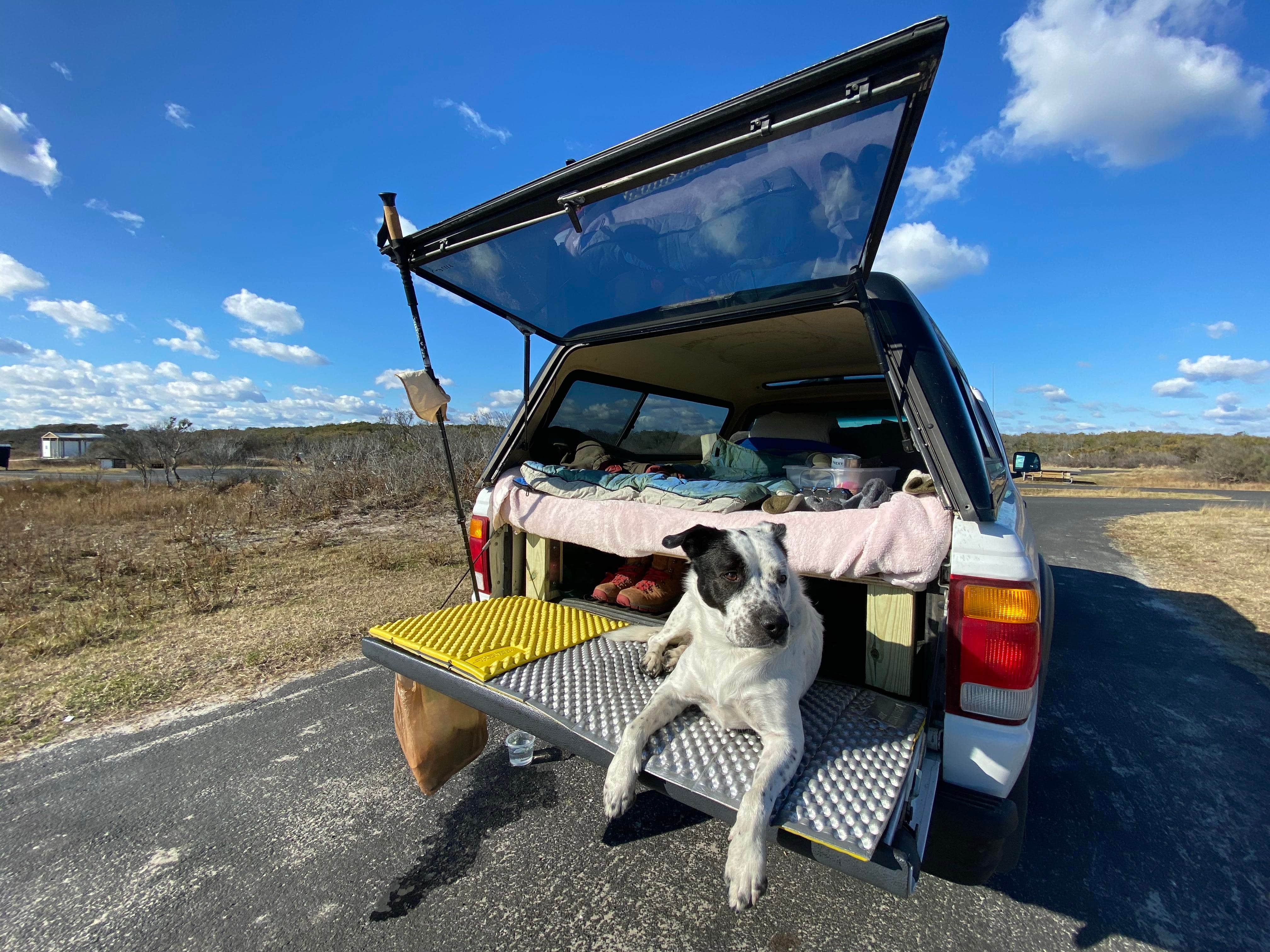 Taylor B.'s photo of camping with pets at Oceanside Campground Loop1 near Ocean Pines, MD