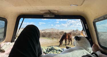 Oceanside Campground Loop1