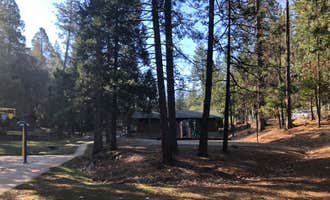 Camping near Indian Grinding Rock State Historic Park: Gold Country Campground Resort, Pine Grove, California
