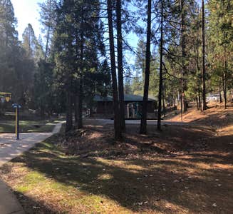 Camper-submitted photo from Gold Country Campground Resort