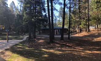 Camping near Indian Grinding Rock State Historic Park: Gold Country Campground Resort, Pine Grove, California