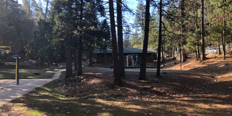 Camper submitted image from Gold Country Campground Resort