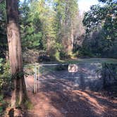 Review photo of Gold Country Campground Resort by Michael M., February 21, 2021