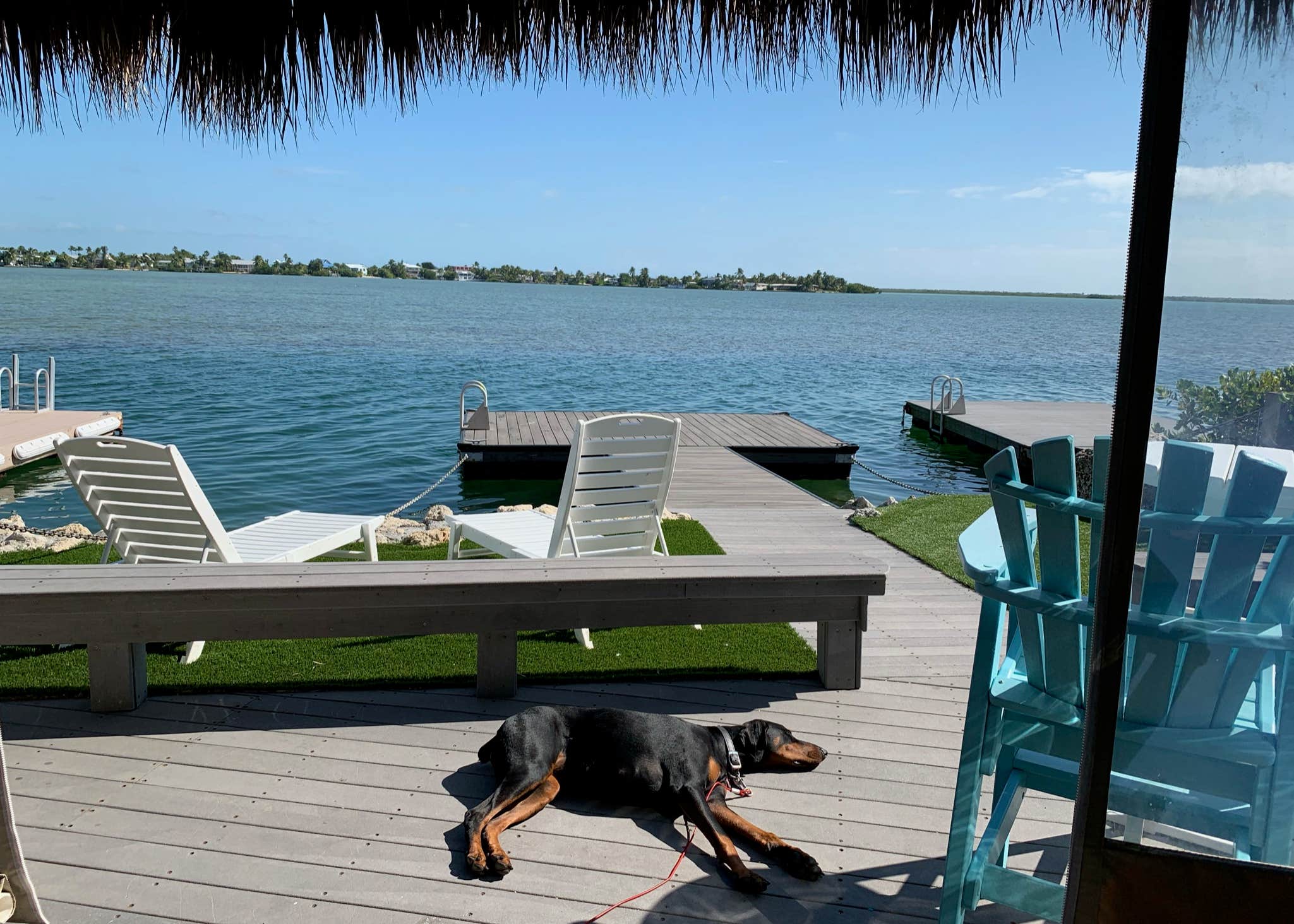 Bluewater Key RV Resort Camping The Dyrt