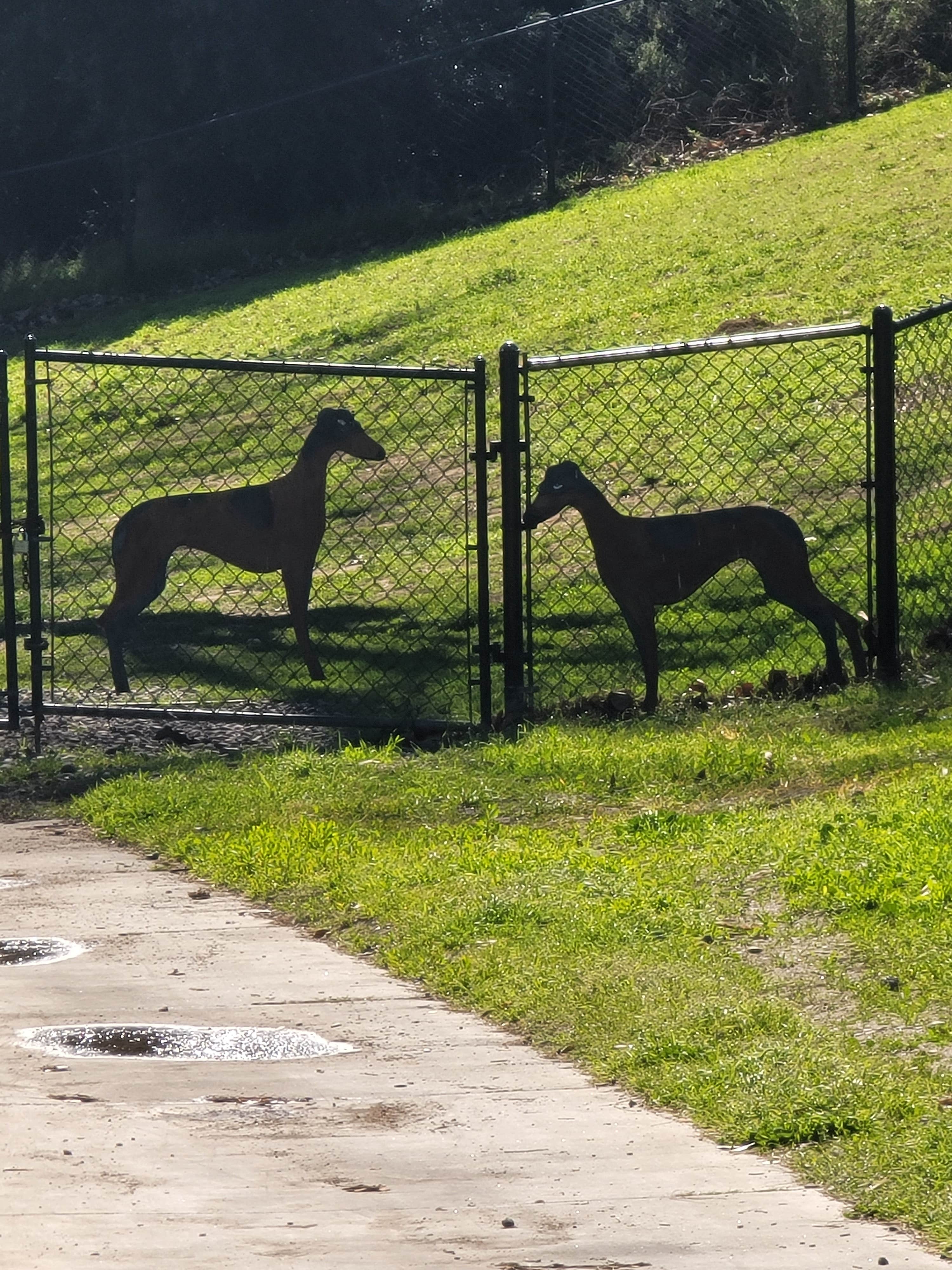 Camper-submitted photo at Flying Flags RV Resort near Santa Maria, CA