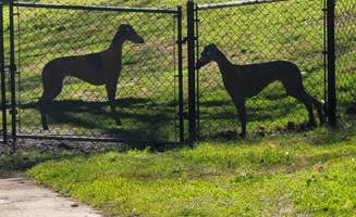 Sherrie R.'s photo of camping with pets at Flying Flags RV Resort near Santa Maria, CA