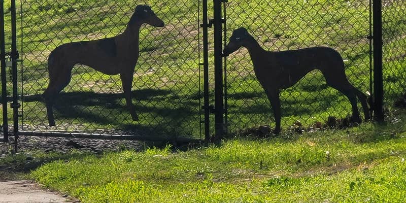 Camper submitted image from Flying Flags RV Resort