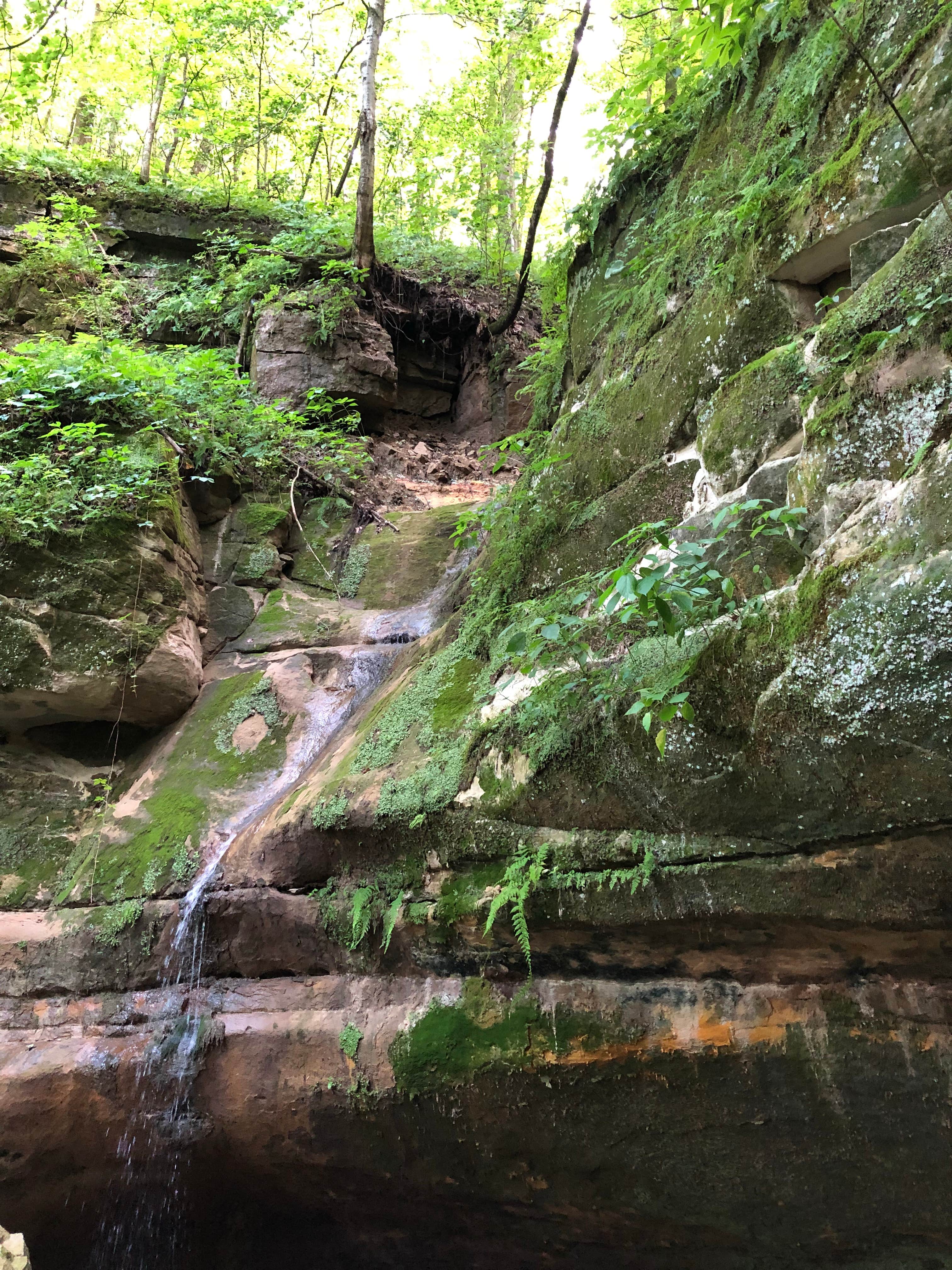 Camper-submitted photo at Wyalusing State Park Campground in Wisconsin
